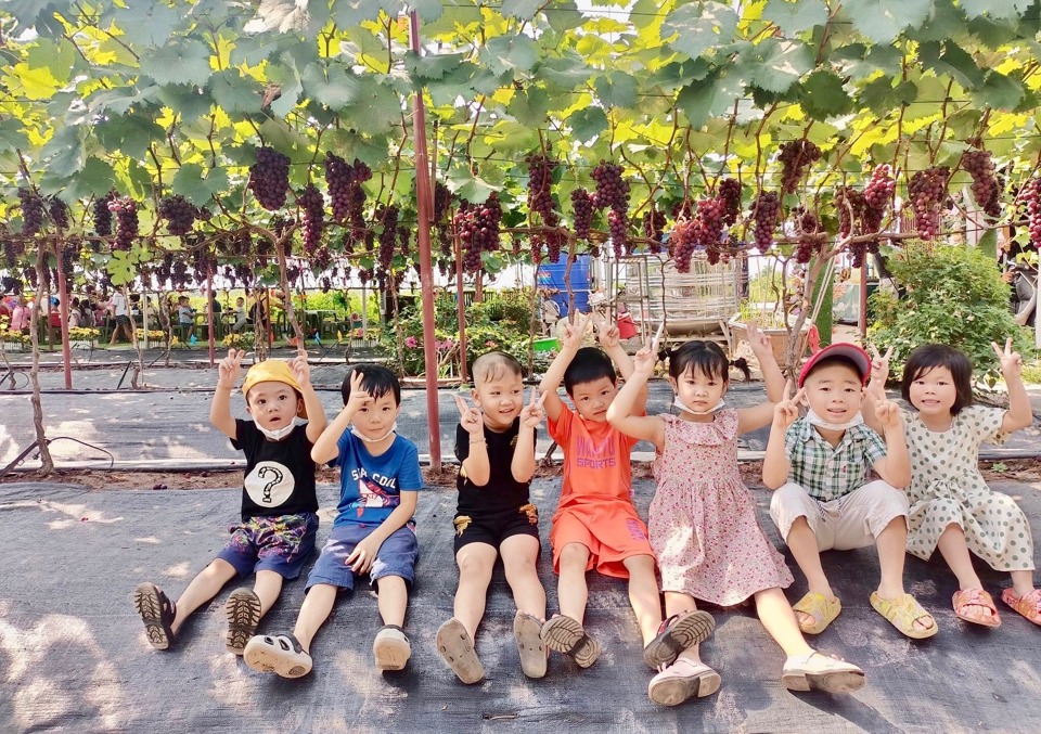C&aacute;c em nhỏ th&iacute;ch th&uacute; chụp ảnh tại vườn nho Hợi Hường (huyện Đan Phượng).