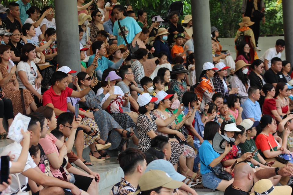 Mỗi ng&agrave;y Safari c&oacute; hai buổi biểu diễn th&uacute; v&agrave;o l&uacute;c 10 giờ v&agrave; 14 giờ&nbsp; thu h&uacute;t rất đ&ocirc;ng du kh&aacute;ch tham gia. Ảnh: Hữu Tuấn