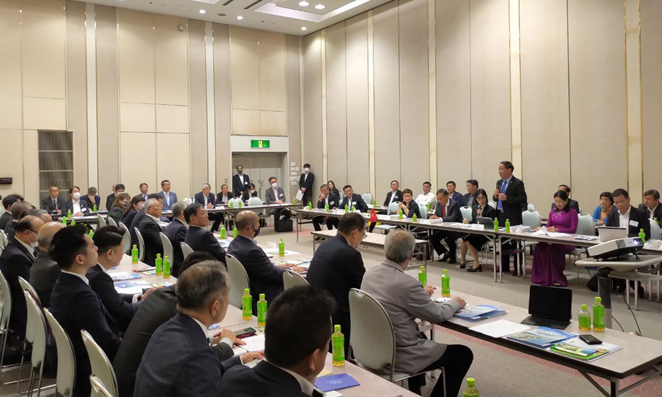 Bình Định tổ chức xúc tiến đầu tư tại Nhật Bản - Ảnh 2