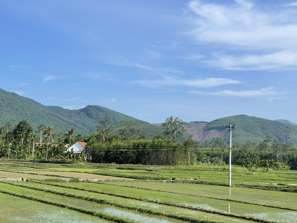 Hiện Quảng Ng&atilde;i chưa xuất hiện t&igrave;nh trạng hạn h&aacute;n, thiếu nước đối với sản xuất n&ocirc;ng nghiệp.