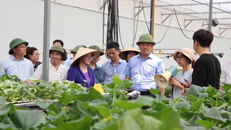 Hà Nội “bắt tay” Viện Khoa học nông nghiệp phát triển nguồn giống chất lượng cao