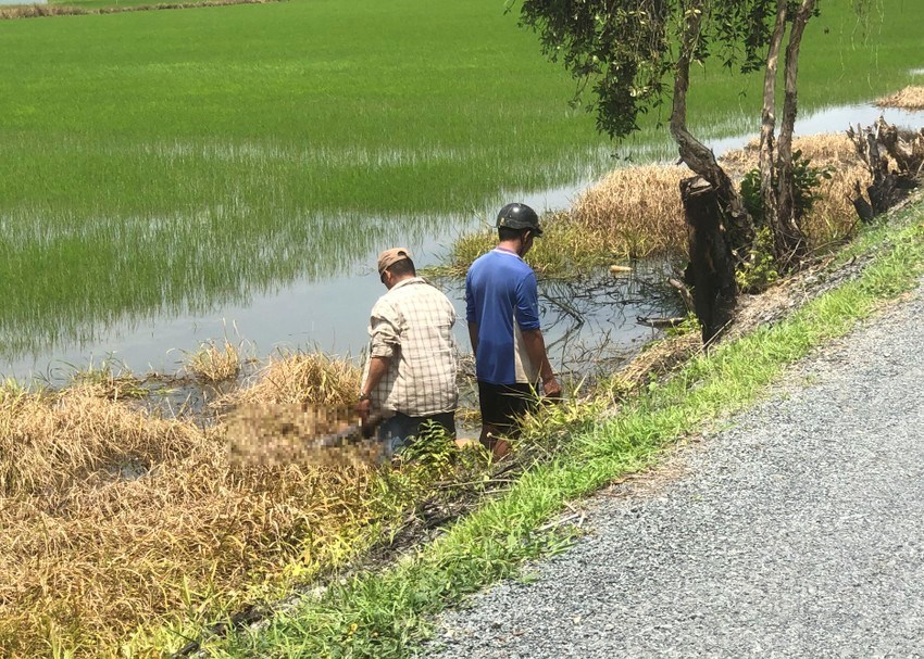 Hiện trường vụ việc.&nbsp;