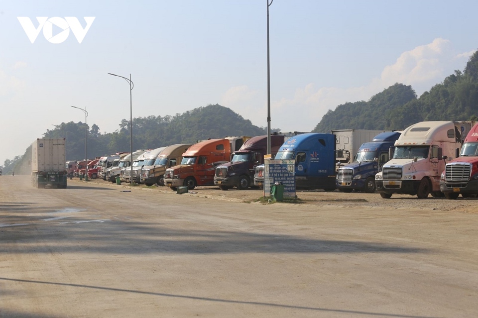 Đến nay, đ&atilde; c&oacute; hơn 400 xe h&agrave;ng chở sầu ri&ecirc;ng được xuất khẩu sang Trung Quốc qua cửa khẩu T&acirc;n Thanh.
