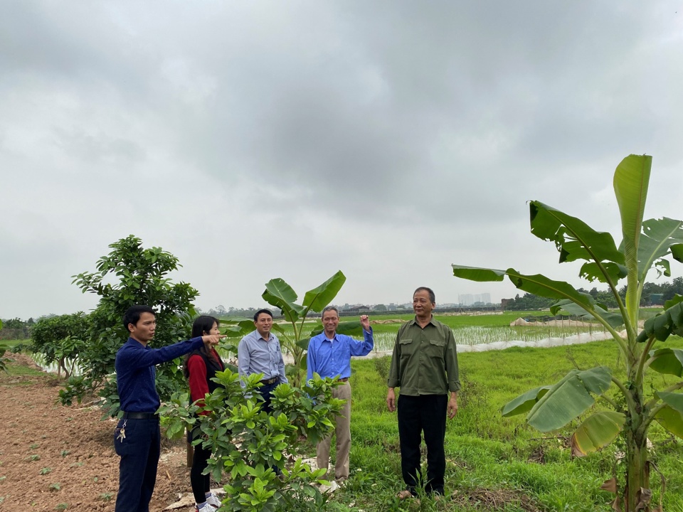 Người dân xã Hạ Mỗ, huyện Đan Phượng phối hợp với tổ công tác giải phóng mặt bằng kiểm đếm ruộng đất trong diện thu hồi phục vụ dự án Vành đai 4. Ảnh: Hải Yến