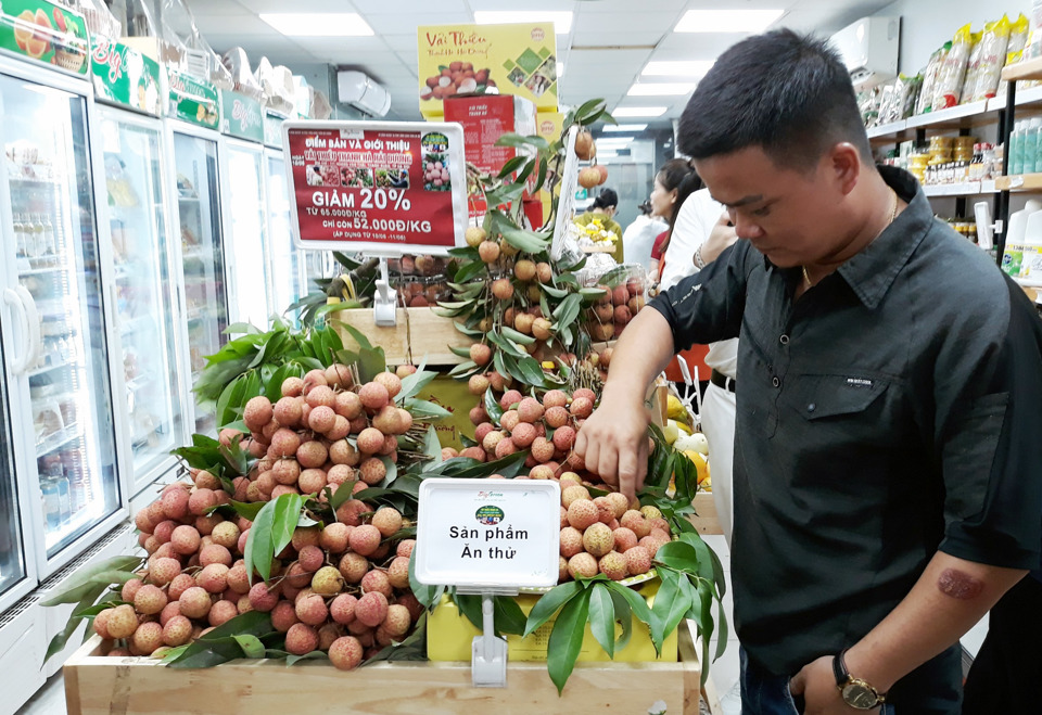 Hà Nội hỗ trợ tỉnh Hải Dương tiêu thụ vải thiều Thanh Hà