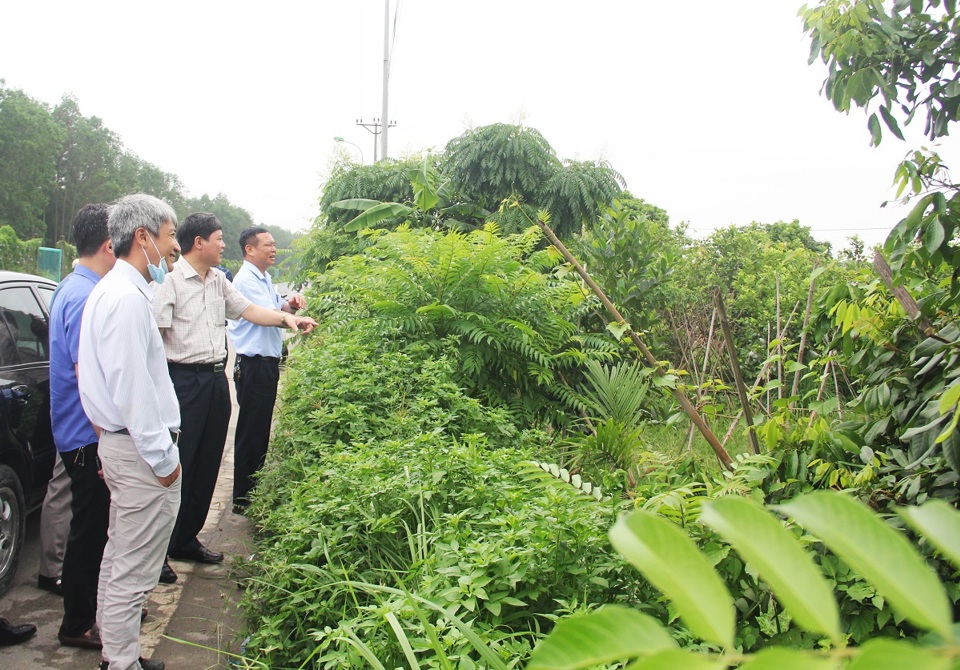 Ph&oacute; Chủ tịch UBND huyện Ho&agrave;i Đức Nguyễn Anh đi khảo s&aacute;t&nbsp; hiện trường đất được b&agrave;n giao.