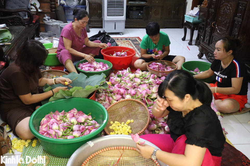 Rời hồ sen Đầm Trị, ph&oacute;ng vi&ecirc;n theo ch&acirc;n &ocirc;ng Th&agrave;nh đến địa chỉ giao hoa sen cho người l&agrave;m tr&agrave; tại phường Quảng An. Nằm tại số 33 T&ocirc; Ngọc V&acirc;n, ng&ocirc;i nh&agrave; dưới con dốc nhỏ với hương thơm ngan ng&aacute;t của những đ&oacute;a sen vừa được h&aacute;i về. Chủ hộ l&agrave; b&agrave; cụ Nguyễn Thị Dần mới bước sang tuổi 100 v&agrave; c&ograve;n khoẻ mạnh, minh mẫn. Thậm ch&iacute;, cụ Dần vẫn l&agrave;m tr&agrave; sen h&agrave;ng ng&agrave;y c&ugrave;ng gia đ&igrave;nh. Được biết, cụ Nguyễn Thị Dần l&agrave; người lớn tuổi nhất l&agrave;m v&agrave; am hiểu về tr&agrave; sen tại Quảng An.