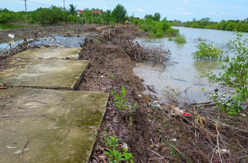 Sạt lở đất diễn ra nhiều nơi tại tỉnh C&agrave; Mau. Ảnh: Nhật Hồ