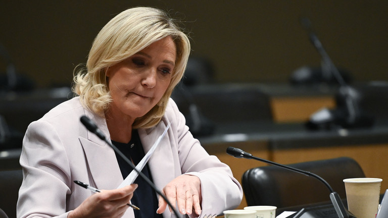 B&agrave; Marine Le Pen,&nbsp;l&atilde;nh đảo đảng Mặt trận quốc gia Ph&aacute;p. Ảnh: AFP