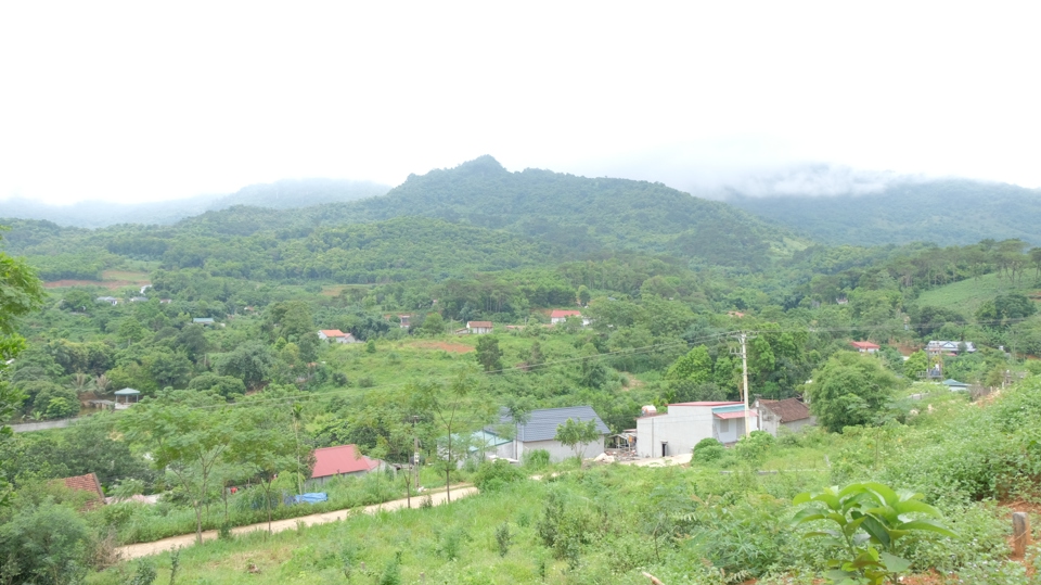 Một diện t&iacute;ch rừng tại huyện Ba V&igrave; (TP H&agrave; Nội). Ảnh: L&acirc;m Nguyễn.