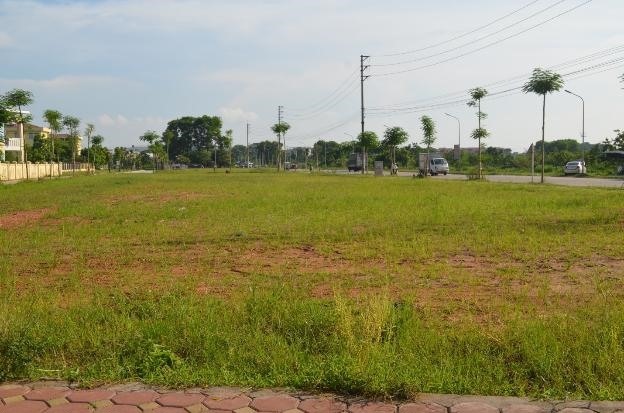 Đấu gi&aacute; quyền sử dụng 5 thửa đất tại&nbsp;thị trấn Chi Đ&ocirc;ng, huyện M&ecirc; Linh