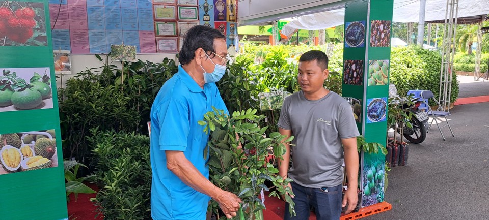 Gian h&agrave;ng giống c&acirc;y ăn quả của tỉnh Bến Tre.