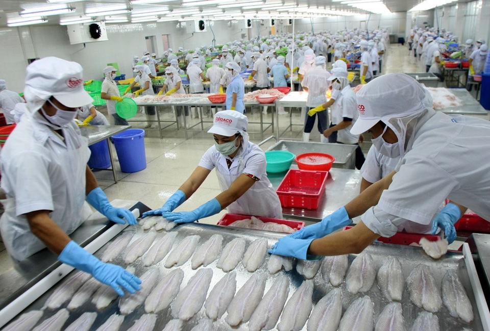 Chế biến thủy sản xuất khẩu tại Công ty CP Gò Đàng, khu công nghiệp Mỹ Tho. Ảnh: Hùng Việt