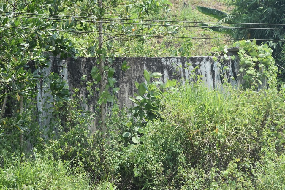 Một c&ocirc;ng tr&igrave;nh cấp nước ở huyện Tr&agrave; Bồng bị bỏ kh&ocirc;ng, cỏ dại mọc đầy.