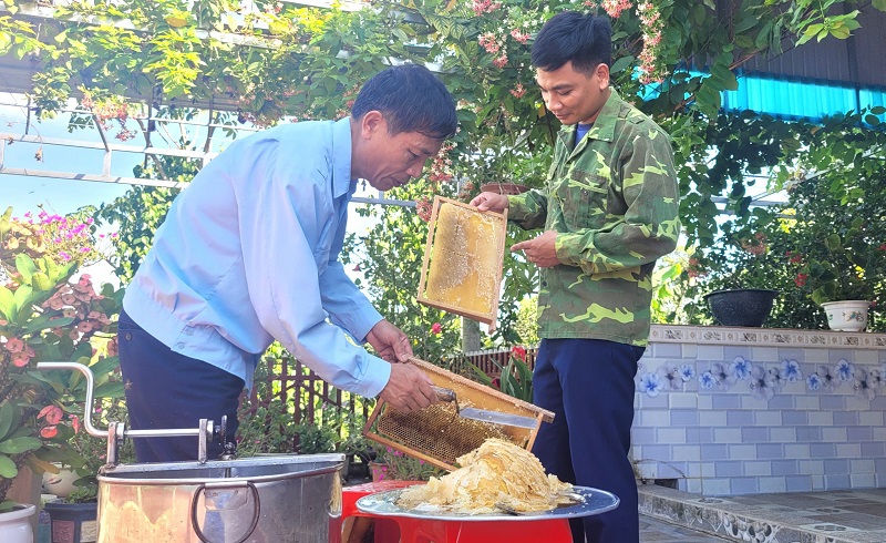 &Ocirc;ng Nguyễn Quang Đ&agrave;i thu hoạch mật ong vụ Xu&acirc;n- H&egrave;