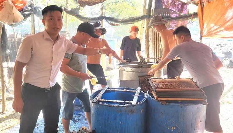 Anh Thi cho biết, b&igrave;nh qu&acirc;n khoảng 14 ng&agrave;y thu hoạch mật 1 lần. Mỗi lần thu hoạch được tr&ecirc;n 5 tấn mật, gi&aacute; b&aacute;n ổn định 12.000 đồng/kg