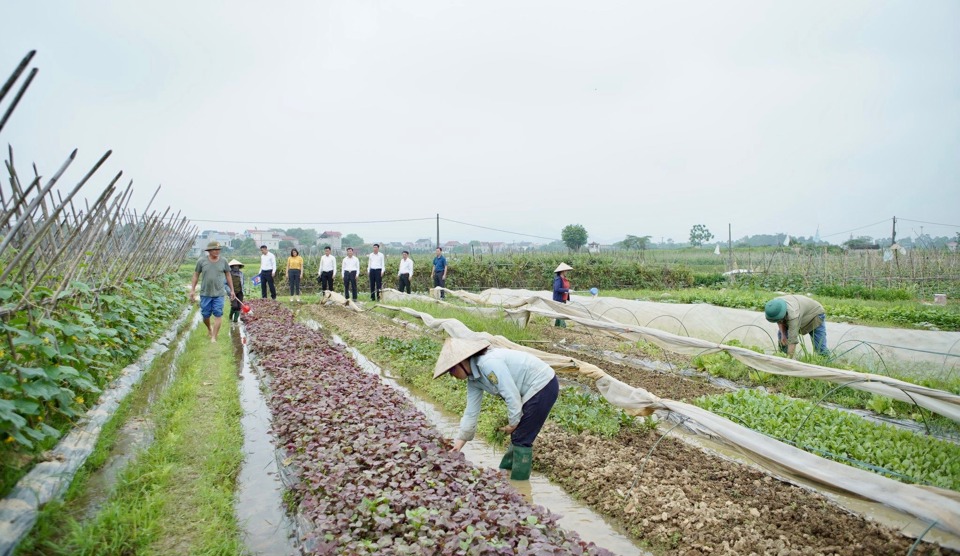 Đất n&ocirc;ng nghiệp tại huyện S&oacute;c Sơn c&oacute; diện t&iacute;ch dưới 0,5ha c&oacute; thể chuyển đổi sang mục đ&iacute;ch kh&aacute;c.