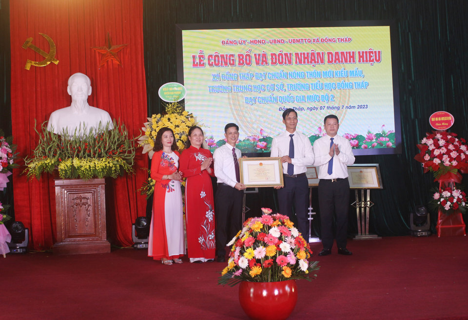 Hà Nội: Xã Đồng Tháp (huyện Đan Phượng) đạt chuẩn nông thôn mới kiểu mẫu - Ảnh 2