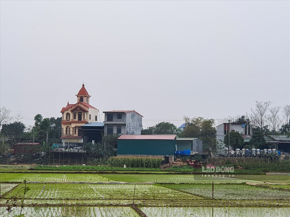 Nhiều người đặt ra c&acirc;u hỏi liệu đất n&ocirc;ng nghiệp c&oacute; chuyển nhượng được kh&ocirc;ng?