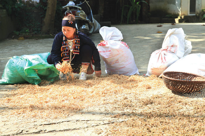 huyện Ba V&igrave; tiếp tục tăng cường triển khai c&aacute;c hoạt động quảng b&aacute;, truyền th&ocirc;ng về du lịch.