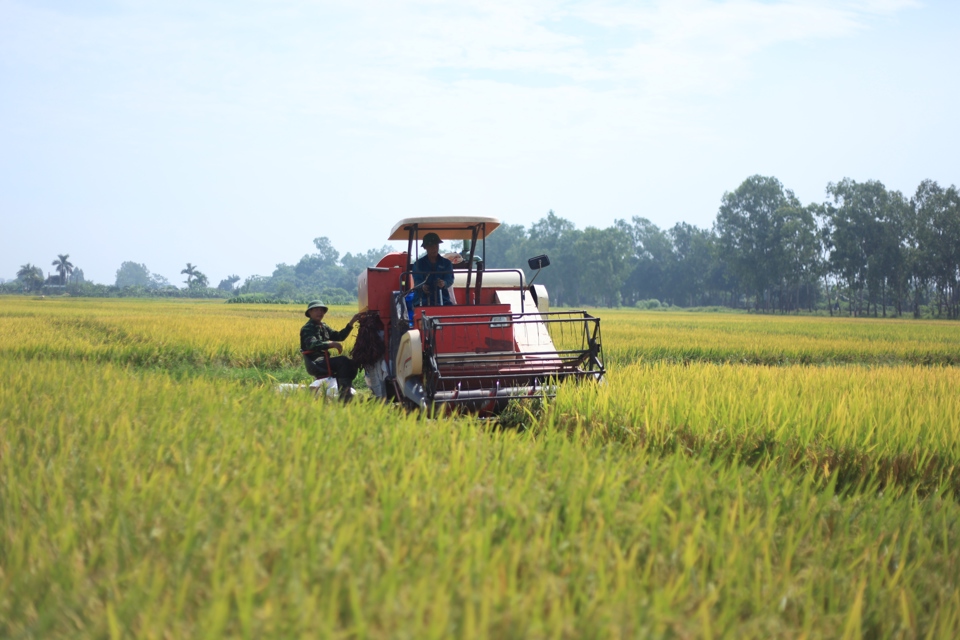 Xuất khẩu gạo của Việt Nam được kỳ vọng tiếp tục tăng trưởng mạnh từ nay đến cuối năm do lượng gạo ti&ecirc;u thụ tr&ecirc;n thế giới tăng cao. Ảnh: Phạm H&ugrave;ng