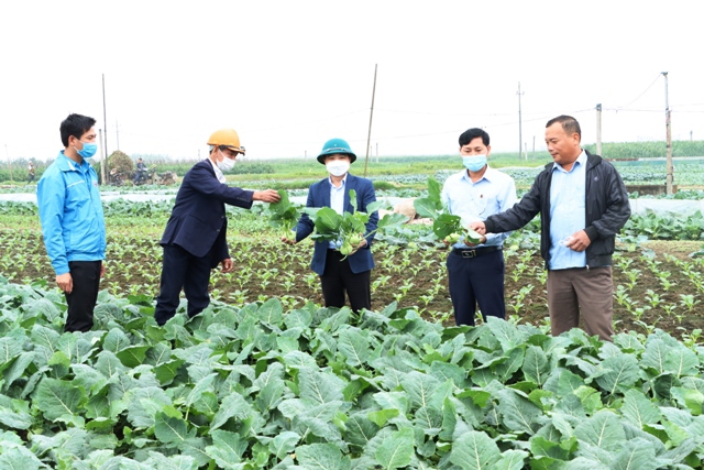 L&atilde;nh đạo Đảng ủy, UBND x&atilde; Minh T&acirc;n thường xuy&ecirc;n xuống đồng kiểm tra, động vi&ecirc;n người d&acirc;n sản xuất, lao động.