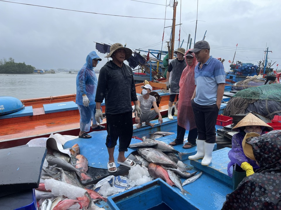 Sản lượng khai th&aacute;c hải sản của từng t&agrave;u c&oacute; chiều hướng giảm, ảnh hưởng thu nhập của ngư d&acirc;n.