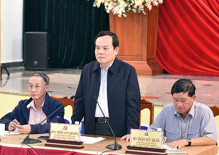Sạt lở tại Lâm Đồng: Phó Thủ tướng Trần Lưu Quang đến hiện trường - Ảnh 5