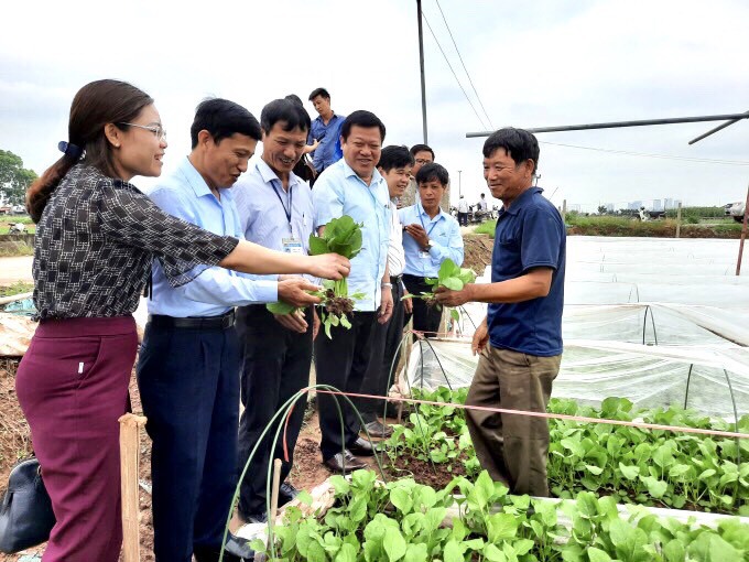 Đo&agrave;n c&ocirc;ng t&aacute;c Sở NN&amp;PTNT H&agrave; Nội thăm m&ocirc; h&igrave;nh rau an to&agrave;n của Hợp t&aacute;c x&atilde; Văn Đức.