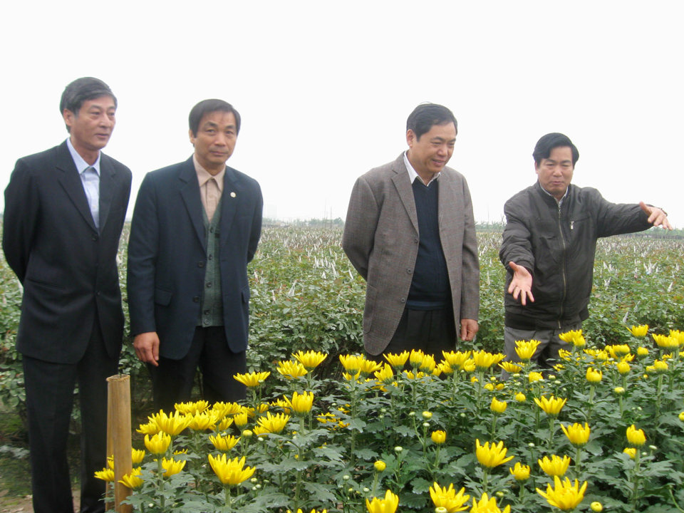 Nguyên Phó Bí thư Thường trực Thành ủy Hà Nội Nguyễn Công Soái thăm mô hình trồng hoa tại Đan Phượng, tháng 4/2012.