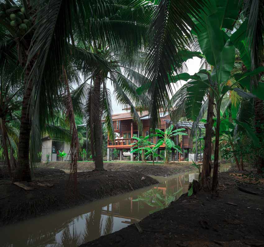 Ngôi nhà sàn gỗ nằm giữa vườn dừa xanh mát bất chấp thời tiết - Ảnh 4