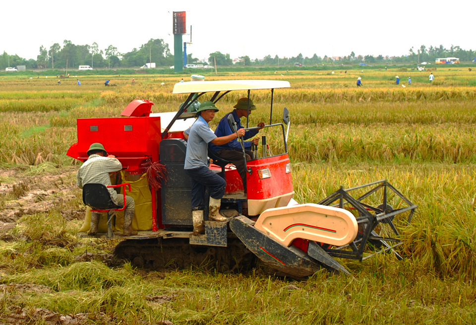 Giá trị xuất khẩu gạo của Việt Nam thời gian vừa qua tăng mạnh do nhu cầu của thế giới. Ảnh: Phạm Hùng