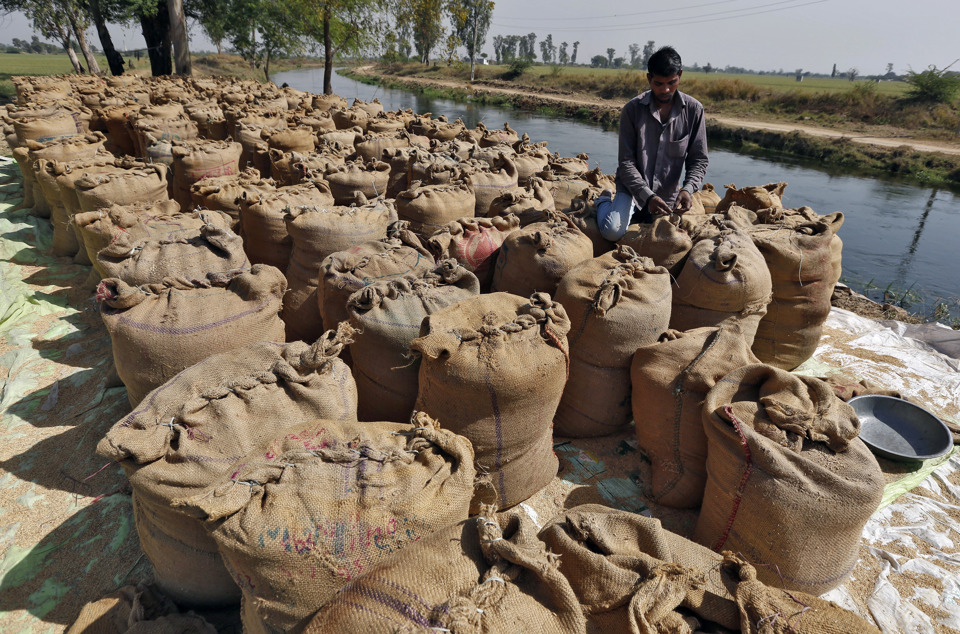 Một c&ocirc;ng nh&acirc;n đ&oacute;ng gạo ở ngoại &ocirc; TP Ahmedabad, miền T&acirc;y Ấn Độ. Ảnh: Reuters