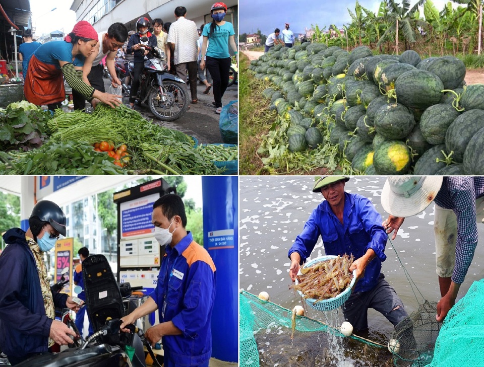 Gi&aacute; rau, xăng dầu tăng mạnh; trong khi gi&aacute; v&agrave;ng, t&ocirc;m, dưa hấu, nh&atilde;n đồng loạt giảm. Ảnh minh họa &nbsp;