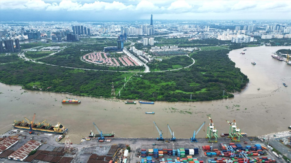 Cận cảnh "lá phổi xanh" 128ha lớn nhất TP Hồ Chí Minh - Ảnh 5