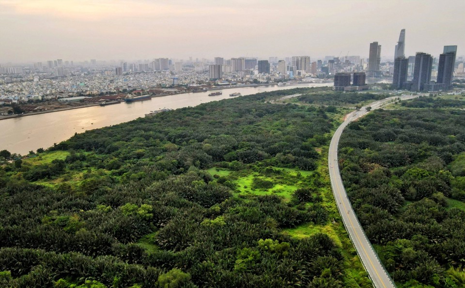 Cận cảnh "lá phổi xanh" 128ha lớn nhất TP Hồ Chí Minh - Ảnh 6