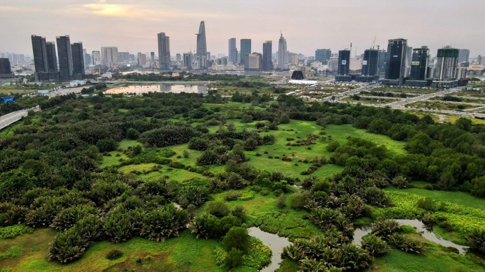 Cận cảnh "lá phổi xanh" 128ha lớn nhất TP Hồ Chí Minh - Ảnh 4