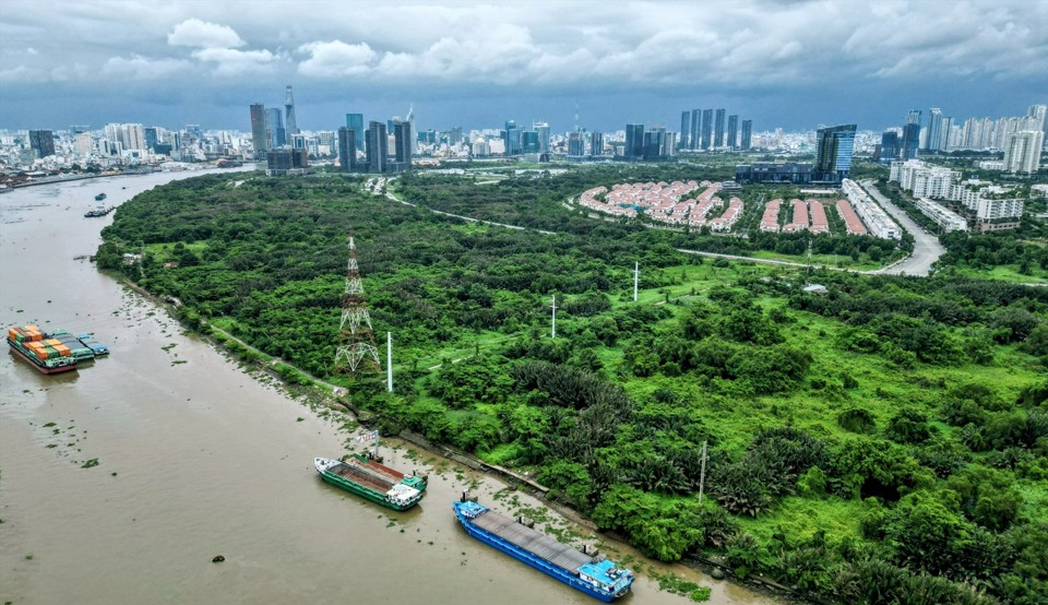 Cận cảnh "lá phổi xanh" 128ha lớn nhất TP Hồ Chí Minh - Ảnh 2
