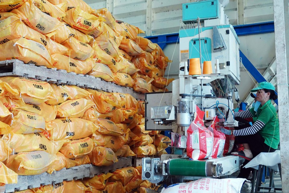 Đóng gói gạo xuất khẩu tại Tiền Giang. Ảnh: Ngọc Thạch
