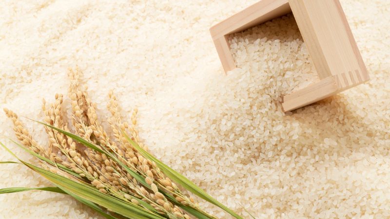 10 th&aacute;ng năm 2023, xuất khẩu gạo tăng trưởng ấn tượng với gi&aacute; trị đạt gần 4 tỷ USD. Ảnh minh họa