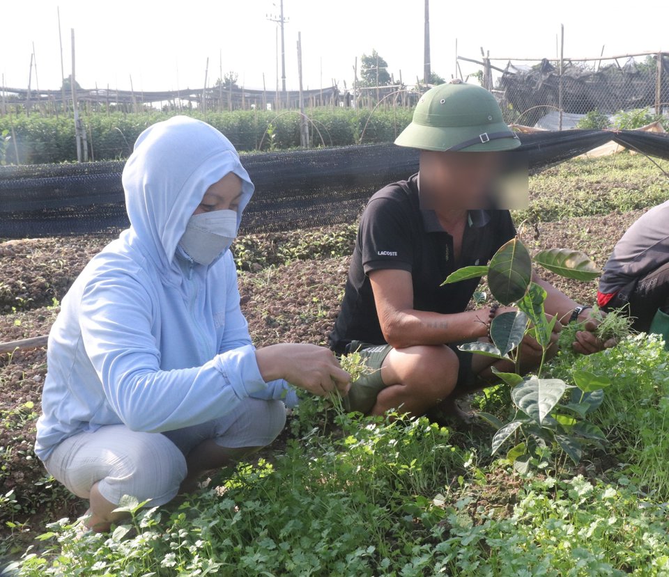 Nhờ được hỗ trợ, anh N.Đ.Q (phường T&acirc;y Tựu, quận Bắc Từ Li&ecirc;m) đ&atilde; mở rộng sản xuất, ph&aacute;t triển kinh tế. Ảnh: Trần Thảo