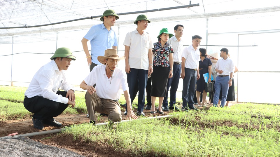 C&aacute;c đại biểu tham quan m&ocirc; h&igrave;nh sản xuất rau ứng dụng c&ocirc;ng nghệ số tại Hợp t&aacute;c x&atilde; Rau quả sạch Ch&uacute;c Sơn, huyện Chương Mỹ.&nbsp;