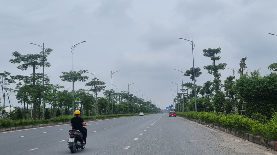 3 h&agrave;ng c&acirc;y&nbsp; đa tầng t&aacute;n được trồng tại tuyến đường v&agrave;o khu đ&ocirc; thị Bắc S&ocirc;ng Cấm chưa được b&agrave;n giao. Ảnh Vĩnh Qu&acirc;n