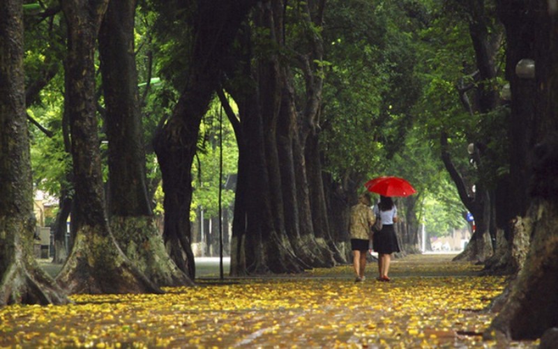 Dự b&aacute;o thời tiết ng&agrave;y 19/8/2023: H&agrave; Nội nhiều m&acirc;y, mưa to ng&agrave;y cuối tuần. Ảnh minh họa. Nguồn: Internet.