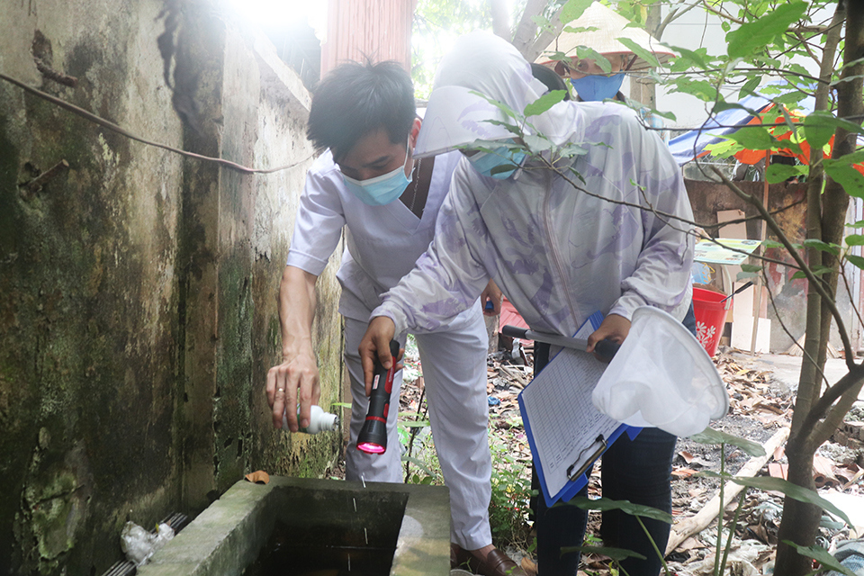 Các địa phương trên địa bàn Hà Nội tập trung quyết liệt diệt muỗi, diệt bọ gậy. Ảnh: Hà Linh