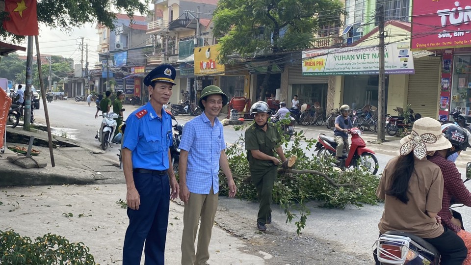 C&acirc;y xanh che khuất tầm nh&igrave;n được ph&aacute;t quang