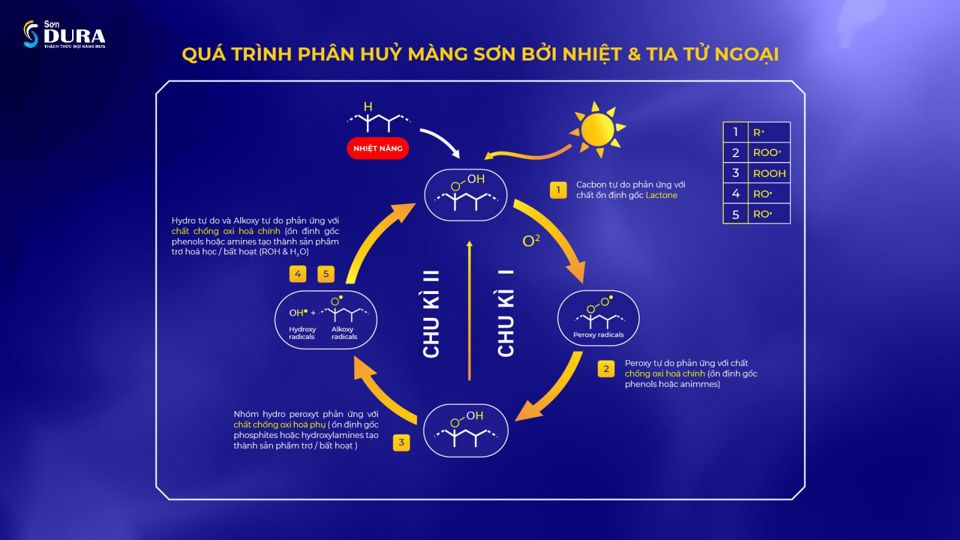 Sơn Dura có tốt không? - Ảnh 2