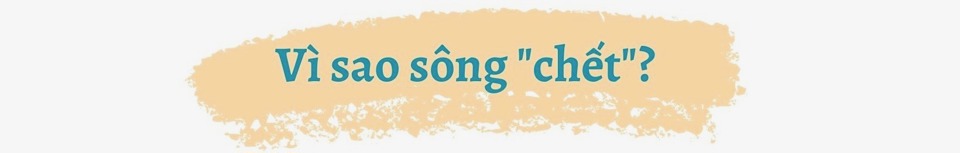 Sông Đáy thơ mộng thành dòng sông “chết” - Ảnh 6