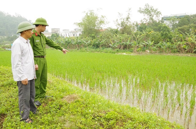 C&ocirc;ng an tỉnh H&agrave; Nam khuyến c&aacute;o người d&acirc;n kh&ocirc;ng d&ugrave;ng điện bẫy chuột tại ruộng l&uacute;a. Ảnh: C&ocirc;ng an tỉnh H&agrave; Nam