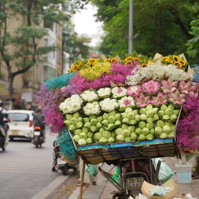 Dự b&aacute;o thời tiết ng&agrave;y 31/8/2023: H&agrave; Nội gi&oacute; đ&ocirc;ng bắc cấp 2-3, trời hanh kh&ocirc;. Ảnh: CCHN